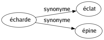 Synonyme de Écharde : Éclat Épine 