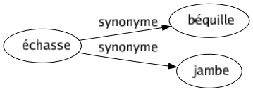 Synonyme de Échasse : Béquille Jambe 