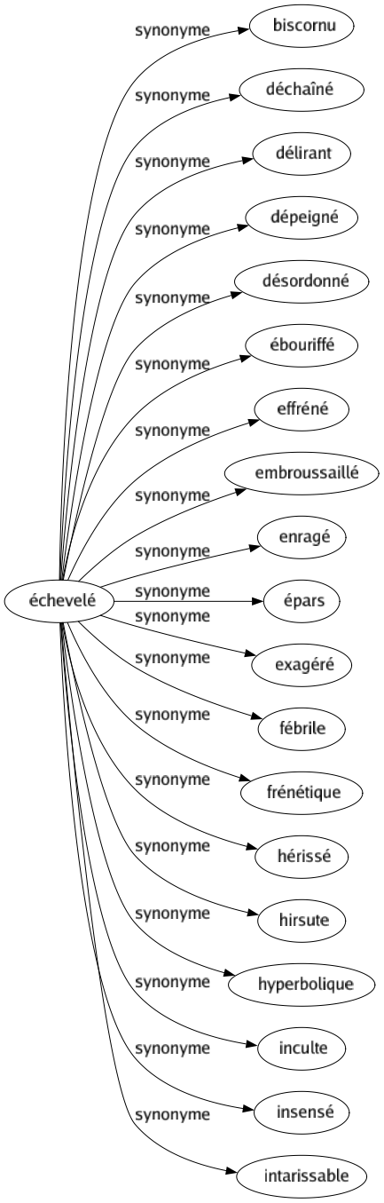 Synonyme de Échevelé : Biscornu Déchaîné Délirant Dépeigné Désordonné Ébouriffé Effréné Embroussaillé Enragé Épars Exagéré Fébrile Frénétique Hérissé Hirsute Hyperbolique Inculte Insensé Intarissable 