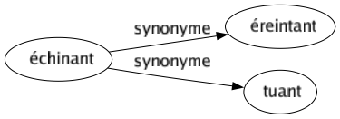 Synonyme de Échinant : Éreintant Tuant 