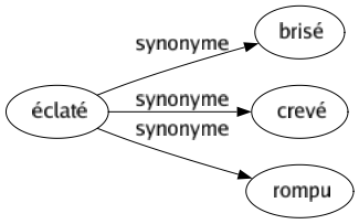 Synonyme de Éclaté : Brisé Crevé Rompu 