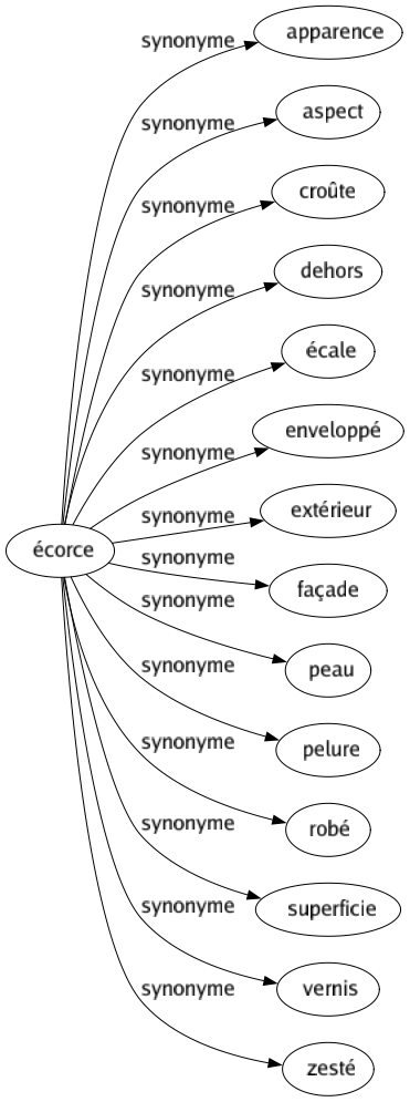 Synonyme de Écorce : Apparence Aspect Croûte Dehors Écale Enveloppé Extérieur Façade Peau Pelure Robé Superficie Vernis Zesté 