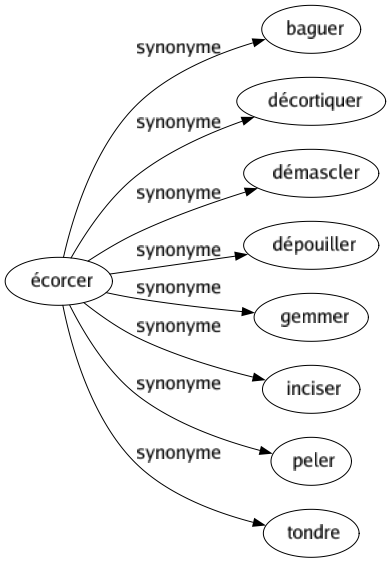 Synonyme de Écorcer : Baguer Décortiquer Démascler Dépouiller Gemmer Inciser Peler Tondre 