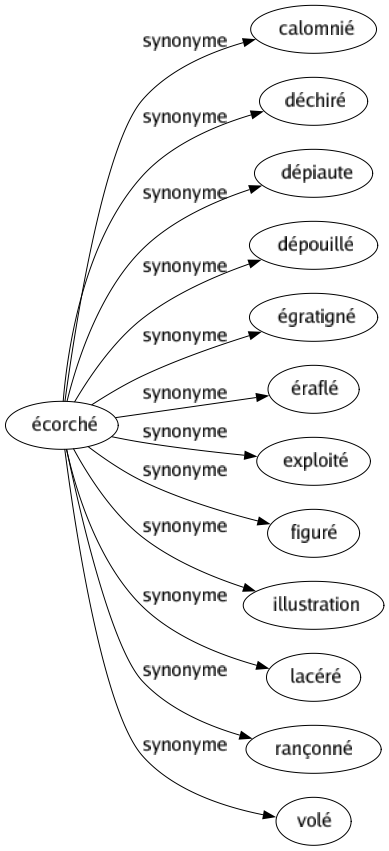 Synonyme de Écorché : Calomnié Déchiré Dépiaute Dépouillé Égratigné Éraflé Exploité Figuré Illustration Lacéré Rançonné Volé 