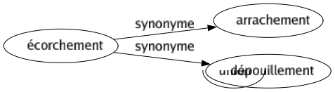 Synonyme de Écorchement : Arrachement Dépouillement 
