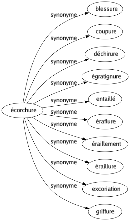 Synonyme de Écorchure : Blessure Coupure Déchirure Égratignure Entaillé Éraflure Éraillement Éraillure Excoriation Griffure 