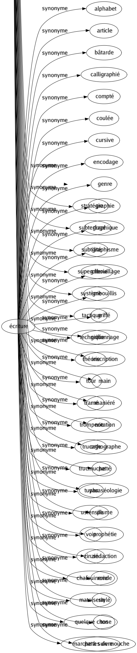 Synonyme de Écriture : Alphabet Article Bâtarde Calligraphié Compté Coulée Cursive Encodage Genre Graphie Graphique Graphisme Gribouillage Gribouillis Griffé Griffonnage Inscription Main Maniéré Notation Orthographe Patté Phraséologie Plume Prophétie Rédaction Ronde Stylé Ton Pattes de mouche 