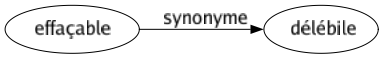 Synonyme de Effaçable : Délébile 