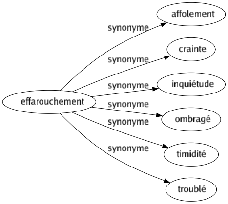 Synonyme de Effarouchement : Affolement Crainte Inquiétude Ombragé Timidité Troublé 