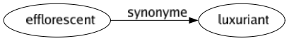 Synonyme de Efflorescent : Luxuriant 