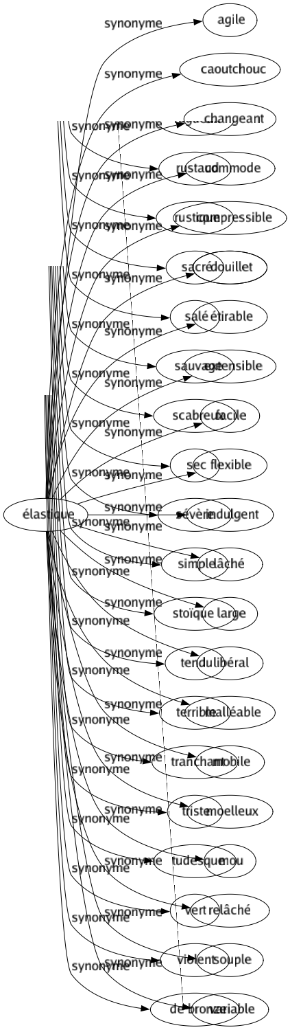 Synonyme de Élastique : Agile Caoutchouc Changeant Commode Compressible Douillet Étirable Extensible Facile Flexible Indulgent Lâché Large Libéral Malléable Mobile Moelleux Mou Relâché Souple Variable 