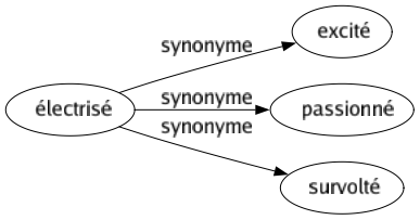 Synonyme de Électrisé : Excité Passionné Survolté 