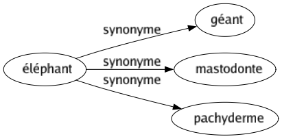 Synonyme de Éléphant : Géant Mastodonte Pachyderme 