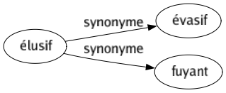 Synonyme de Élusif : Évasif Fuyant 