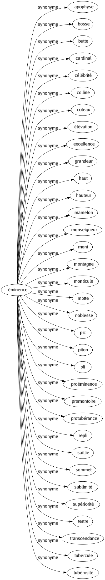 Synonyme de Éminence : Apophyse Bosse Butte Cardinal Célébrité Colline Coteau Élévation Excellence Grandeur Haut Hauteur Mamelon Monseigneur Mont Montagne Monticule Motte Noblesse Pic Piton Pli Proéminence Promontoire Protubérance Repli Saillie Sommet Sublimité Supériorité Tertre Transcendance Tubercule Tubérosité 