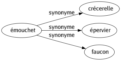 Synonyme de Émouchet : Crécerelle Épervier Faucon 