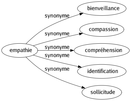 Synonyme de Empathie : Bienveillance Compassion Compréhension Identification Sollicitude 