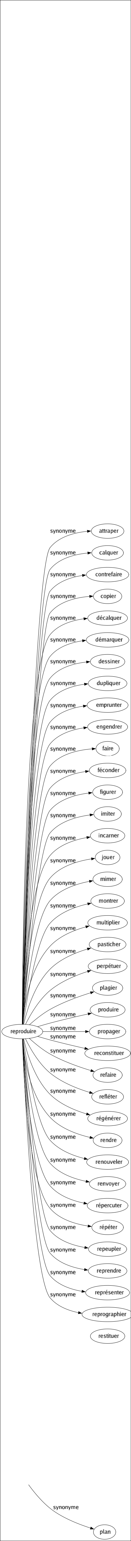 Synonyme de Empennage : Ailé Aileron Gouvernail Gouverné Penne Plan 