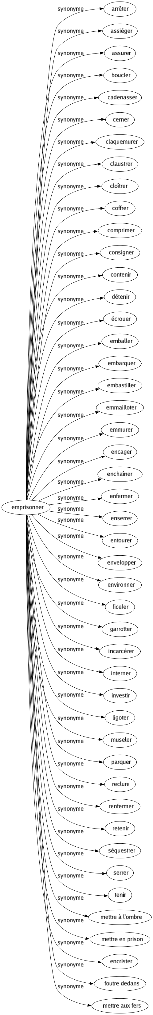Synonyme de Emprisonner : Arrêter Assiéger Assurer Boucler Cadenasser Cerner Claquemurer Claustrer Cloîtrer Coffrer Comprimer Consigner Contenir Détenir Écrouer Emballer Embarquer Embastiller Emmailloter Emmurer Encager Enchaîner Enfermer Enserrer Entourer Envelopper Environner Ficeler Garrotter Incarcérer Interner Investir Ligoter Museler Parquer Reclure Renfermer Retenir Séquestrer Serrer Tenir Mettre à l'ombre Mettre en prison Encrister Foutre dedans Mettre aux fers 