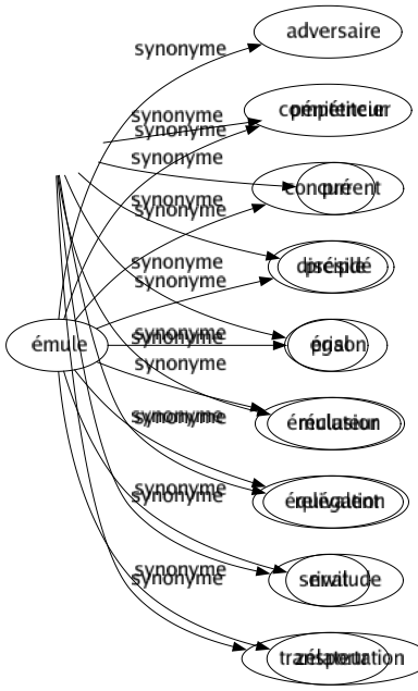 Synonyme de Émule : Adversaire Compétiteur Concurrent Disciple Égal Émulateur Équivalent Rival Zélateur 