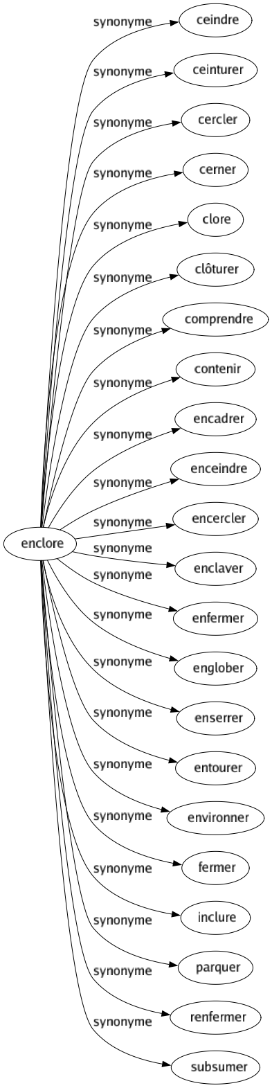 Synonyme de Enclore : Ceindre Ceinturer Cercler Cerner Clore Clôturer Comprendre Contenir Encadrer Enceindre Encercler Enclaver Enfermer Englober Enserrer Entourer Environner Fermer Inclure Parquer Renfermer Subsumer 