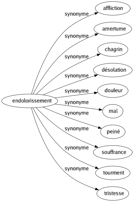 Synonyme de Endolorissement : Affliction Amertume Chagrin Désolation Douleur Mal Peiné Souffrance Tourment Tristesse 