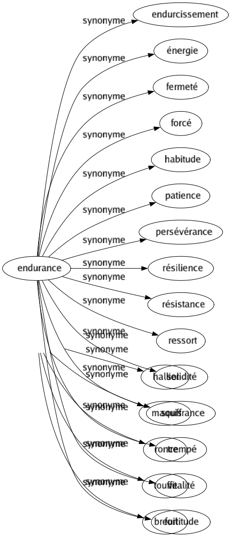 Synonyme de Endurance : Endurcissement Énergie Fermeté Forcé Habitude Patience Persévérance Résilience Résistance Ressort Solidité Souffrance Trempé Vitalité Fortitude 
