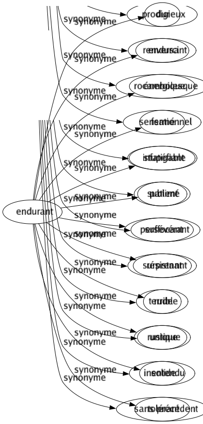Synonyme de Endurant : Dur Endurci Énergique Fermé Infatigable Patient Persévérant Résistant Rude Rustique Solide Tolérant 