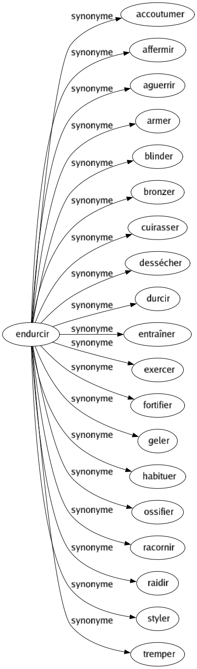 Synonyme de Endurcir : Accoutumer Affermir Aguerrir Armer Blinder Bronzer Cuirasser Dessécher Durcir Entraîner Exercer Fortifier Geler Habituer Ossifier Racornir Raidir Styler Tremper 