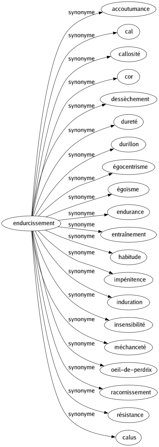 Synonyme de Endurcissement : Accoutumance Cal Callosité Cor Dessèchement Dureté Durillon Égocentrisme Égoïsme Endurance Entraînement Habitude Impénitence Induration Insensibilité Méchanceté Oeil-de-perdrix Racornissement Résistance Calus 