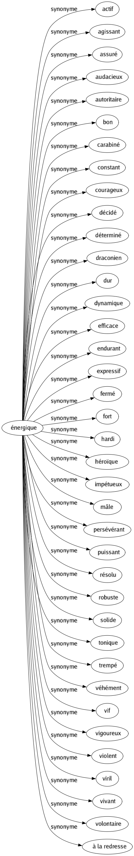 Synonyme de Énergique : Actif Agissant Assuré Audacieux Autoritaire Bon Carabiné Constant Courageux Décidé Déterminé Draconien Dur Dynamique Efficace Endurant Expressif Fermé Fort Hardi Héroïque Impétueux Mâle Persévérant Puissant Résolu Robuste Solide Tonique Trempé Véhément Vif Vigoureux Violent Viril Vivant Volontaire À la redresse 