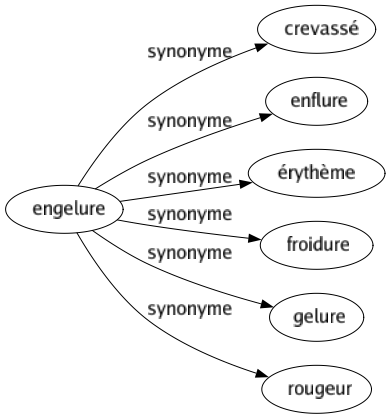 Synonyme de Engelure : Crevassé Enflure Érythème Froidure Gelure Rougeur 