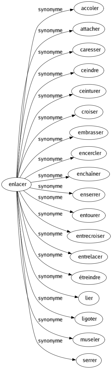 Synonyme de Enlacer : Accoler Attacher Caresser Ceindre Ceinturer Croiser Embrasser Encercler Enchaîner Enserrer Entourer Entrecroiser Entrelacer Étreindre Lier Ligoter Museler Serrer 