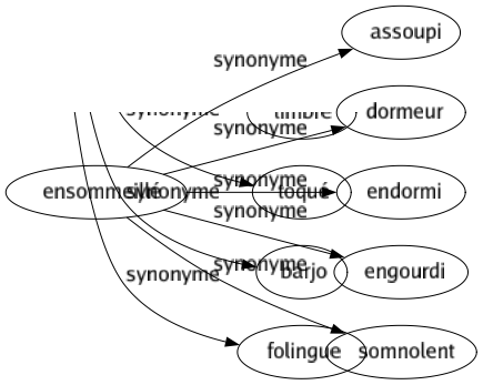 Synonyme de Ensommeillé : Assoupi Dormeur Endormi Engourdi Somnolent 