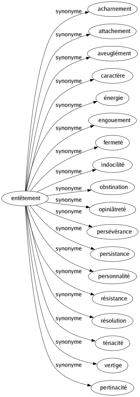 Synonyme de Entêtement : Acharnement Attachement Aveuglément Caractère Énergie Engouement Fermeté Indocilité Obstination Opiniâtreté Persévérance Persistance Personnalité Résistance Résolution Ténacité Vertige Pertinacité 