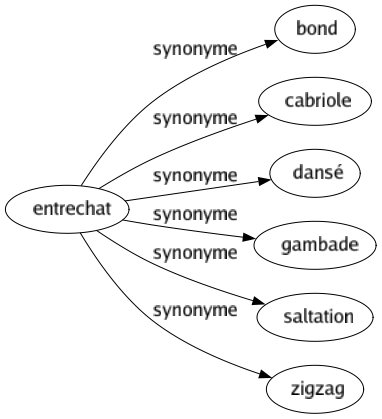Synonyme de Entrechat : Bond Cabriole Dansé Gambade Saltation Zigzag 