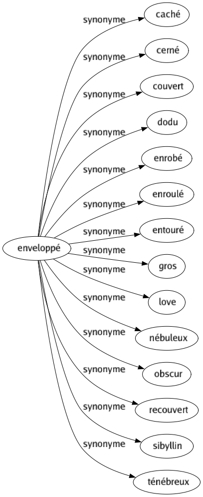 Synonyme de Enveloppé : Caché Cerné Couvert Dodu Enrobé Enroulé Entouré Gros Love Nébuleux Obscur Recouvert Sibyllin Ténébreux 