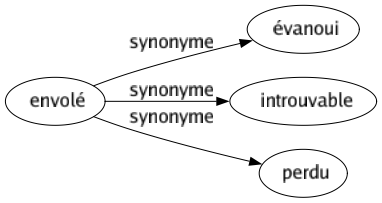 Synonyme de Envolé : Évanoui Introuvable Perdu 