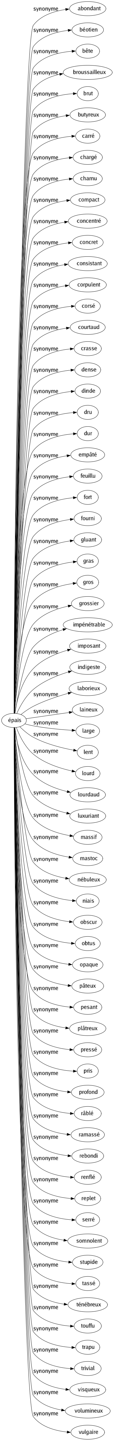 Synonyme de Épais : Abondant Béotien Bête Broussailleux Brut Butyreux Carré Chargé Charnu Compact Concentré Concret Consistant Corpulent Corsé Courtaud Crasse Dense Dinde Dru Dur Empâté Feuillu Fort Fourni Gluant Gras Gros Grossier Impénétrable Imposant Indigeste Laborieux Laineux Large Lent Lourd Lourdaud Luxuriant Massif Mastoc Nébuleux Niais Obscur Obtus Opaque Pâteux Pesant Plâtreux Pressé Pris Profond Râblé Ramassé Rebondi Renflé Replet Serré Somnolent Stupide Tassé Ténébreux Touffu Trapu Trivial Visqueux Volumineux Vulgaire 