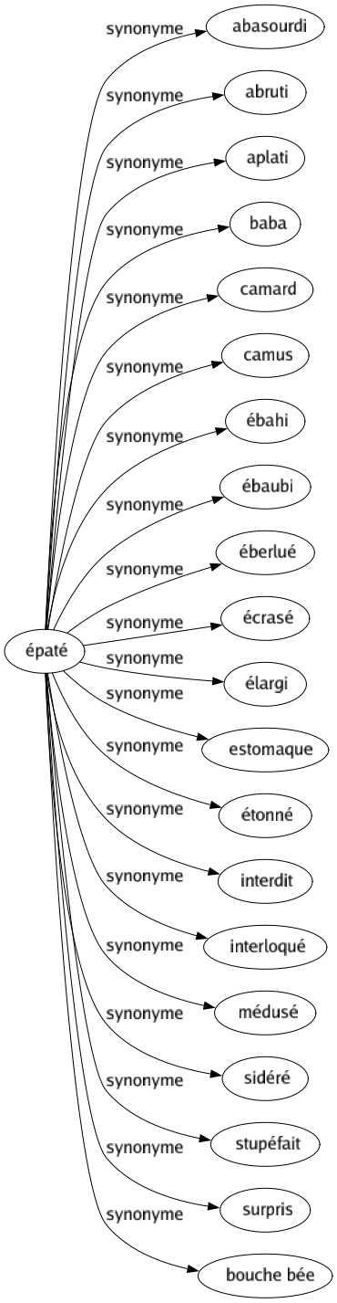 Synonyme de Épaté : Abasourdi Abruti Aplati Baba Camard Camus Ébahi Ébaubi Éberlué Écrasé Élargi Estomaque Étonné Interdit Interloqué Médusé Sidéré Stupéfait Surpris Bouche bée 