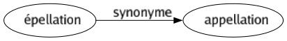 Synonyme de Épellation : Appellation 