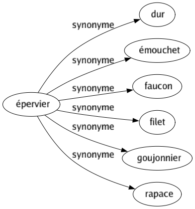 Synonyme de Épervier : Dur Émouchet Faucon Filet Goujonnier Rapace 