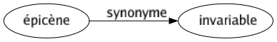 Synonyme de Épicène : Invariable 