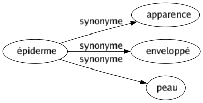 Synonyme de Épiderme : Apparence Enveloppé Peau 