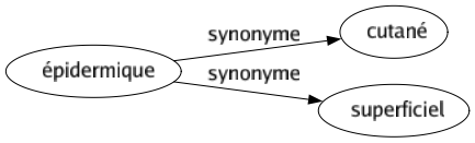 Synonyme de Épidermique : Cutané Superficiel 