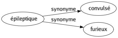 Synonyme de Épileptique : Convulsé Furieux 