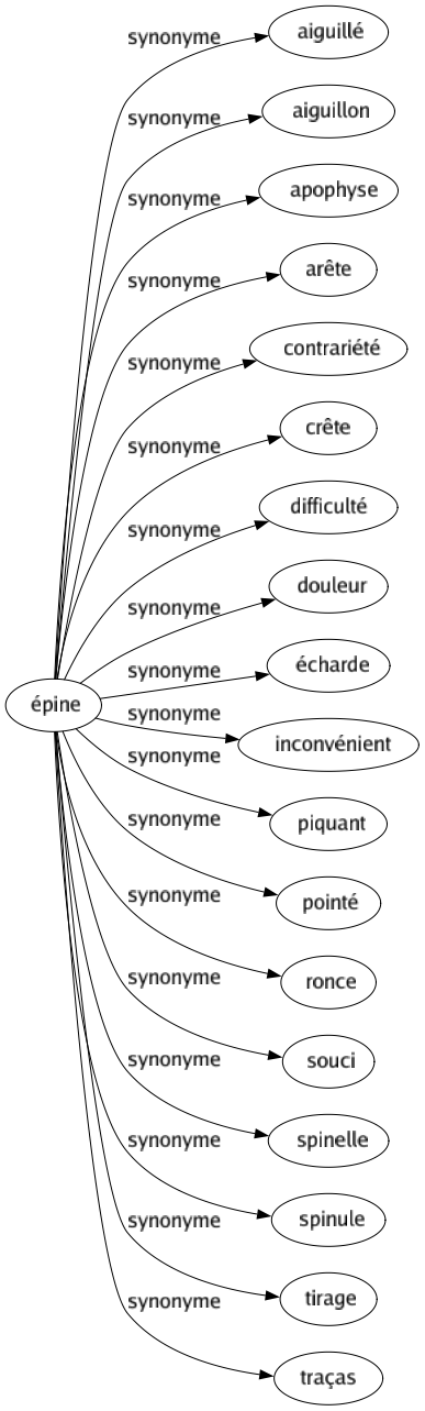Synonyme de Épine : Aiguillé Aiguillon Apophyse Arête Contrariété Crête Difficulté Douleur Écharde Inconvénient Piquant Pointé Ronce Souci Spinelle Spinule Tirage Traças 