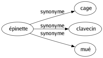 Synonyme de Épinette : Cage Clavecin Mué 