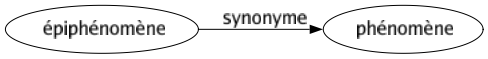 Synonyme de Épiphénomène : Phénomène 