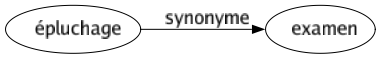 Synonyme de Épluchage : Examen 